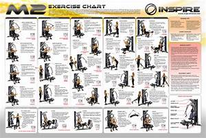 Weider Home Gym Exercise Chart Workout Chart Gym Workout Chart