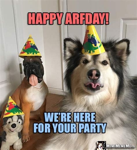 Dog Birthday Meme Happy Arfday Were Here For Your Party Happy