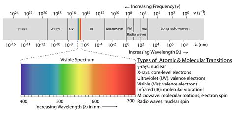 Electromagnetic Spectrum Labeled Humanague