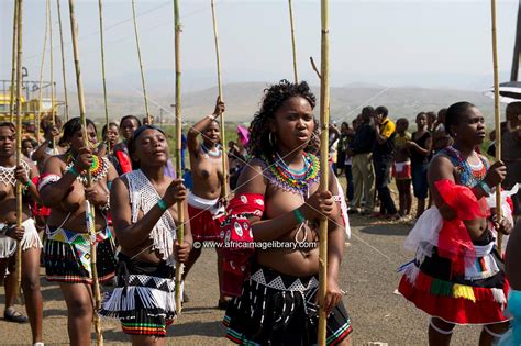 Photos And Pictures Of Zulu Maidens Deliver Reed Sticks To The King Zulu Reed Dance At