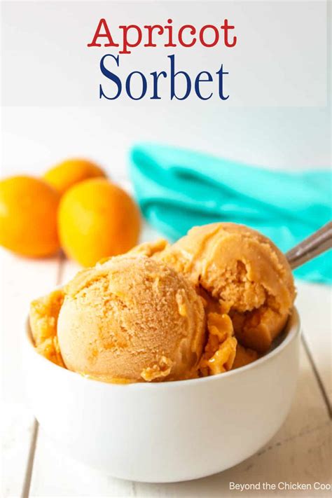 Apricot Sorbet Beyond The Chicken Coop