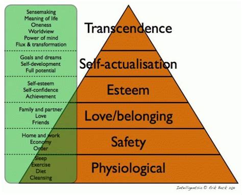Transcendence Maslows Hierarchy Of Needs Self Actualization Maslow