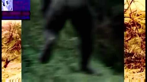 Back Of Bigfoot Photographed In Georgia 2013 Youtube
