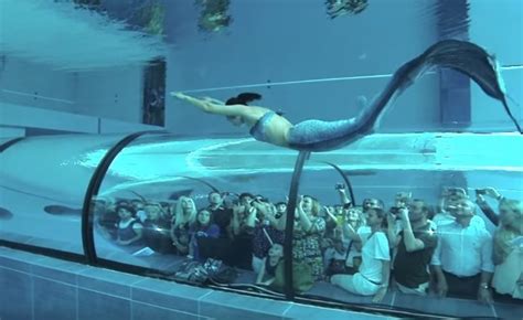 Top 119 Imagenes De Sirenas En La Vida Real Theplanetcomicsmx