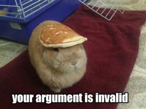 Your Argument Is Invalid 28 Pics