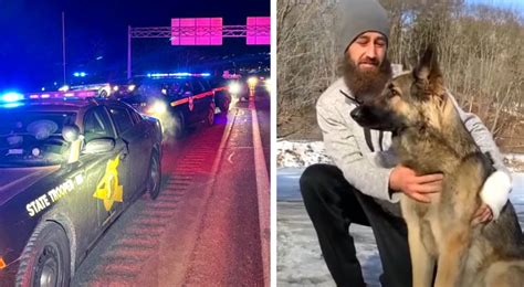 A Lost Dog Roaming The Highway Leads Police To The Scene Of An Accident