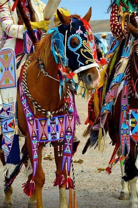 Even The Horse Has Beautiful Beadwork Native Crafts And Jewelery
