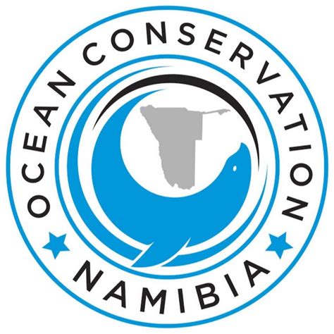 Bracenet Bracenet X Ocean Conservation Namibia