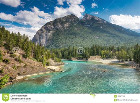 Bow River Banff Canadian Rockies Stock Photo Image Of Forested