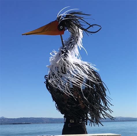 Bird Watching: Find the Rare Birds of SF | Heron's Head