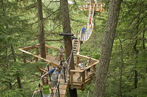 Tree Adventure Tours Whistler Bc Tourism Whistler