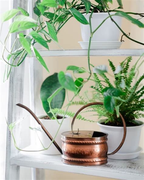 10 Indoor Watering Cans Youll Want To Keep On Display That Planty Life
