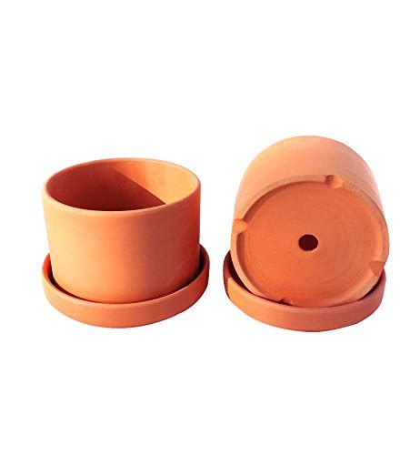 Buy Natural Terracotta Round Walled Garden Ers With Individual Trays
