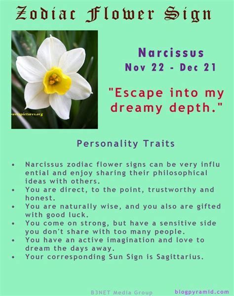 Zodiac Flower Sign Sagittarius Narcissus November 22