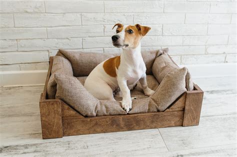 6 Cool Wooden Dog Beds For Australians