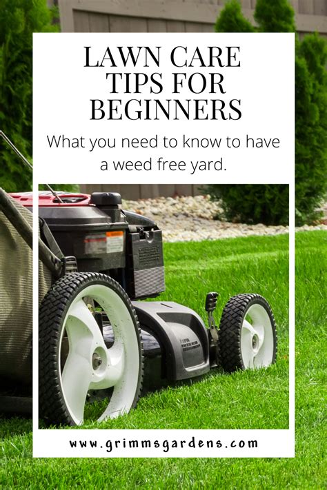 Lawn Care A Month By Month Guide Artofit