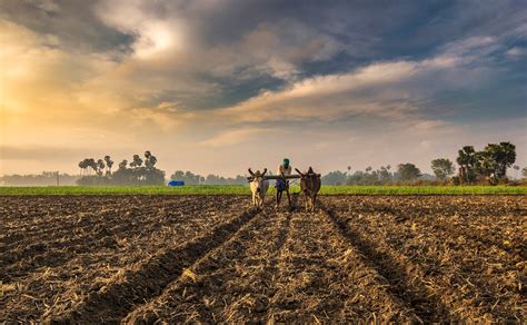 Indias Biggest Challenge The Future Of Farming Greenstories