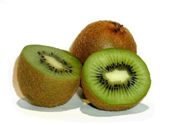 The swelling capacity of kiwifruit fibre is 12 times higher than wheat. Every Day Is Special: June13 - Agricultural Fieldays in ...