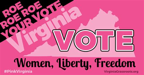 Pink Virginia Graphics