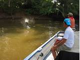 Fly Fishing In Costa Rica Pictures