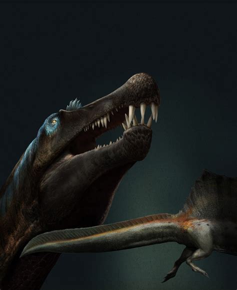 Researchers Discover First Known Swimming Dinosaur News The Harvard