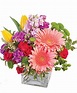 Occasions - House of Flowers - Linden, NJ