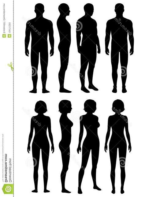 Human Body Silhouette Vector At