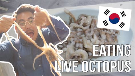 Eating Live Octopus Korea Day YouTube
