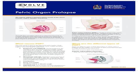 Pelvic Organ Prolapse Evolve Womens Health Separating The