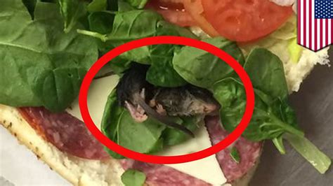 Subway Eat Flesh Dead Rodent Found In Subway Sandwich Spinach Tomonews Youtube