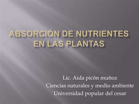 Absorción De Nutrientes En Las Plantas Ppt
