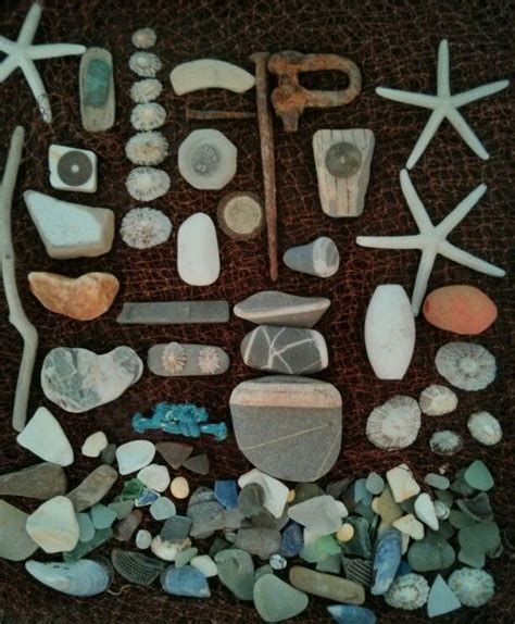 Treasures From The Sea Washed Up On The Beach Sea Side Art Design By Philippa Komercharo