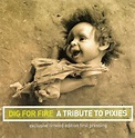 Dig for Fire: A Tribute to Pixies, Pixies | CD (album) | Muziek | bol.com