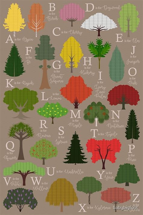 Trees Alphabet By Babybigfoot Redbubble