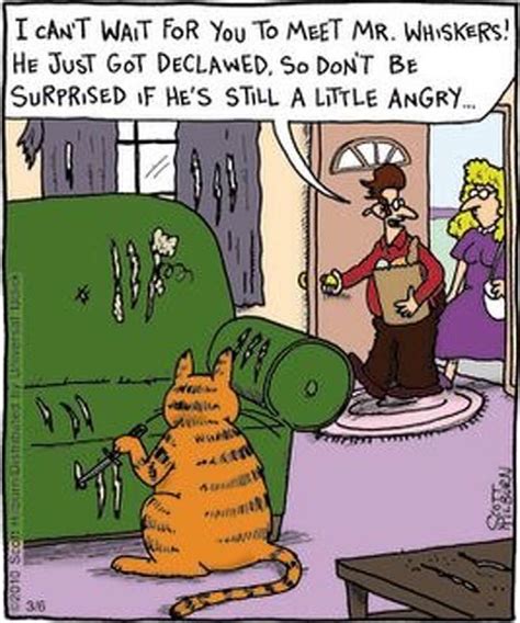 Cartoon Cats Image By Phyllis Griffiths Cat Jokes Funny Animal