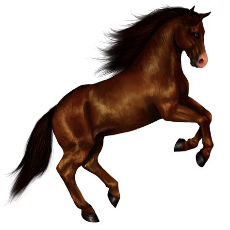 Brown Horse Png Photo Png Mart