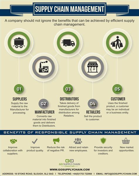 Logistics Consultants Infographic Supply Chain Management