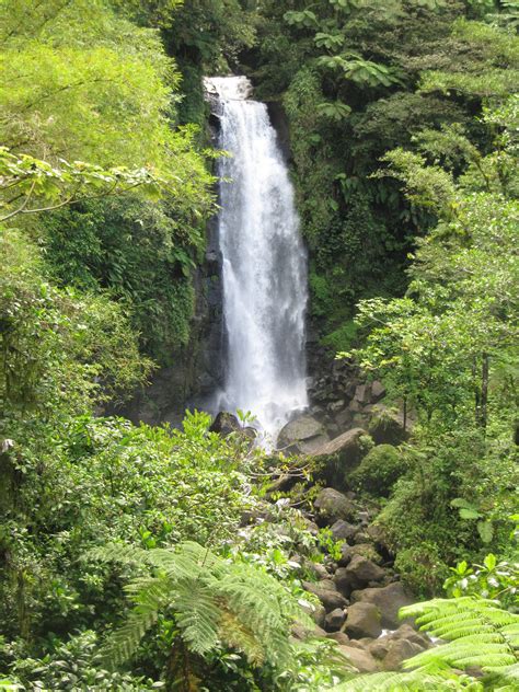 trafalgar falls dominica places to go beautiful waterfalls holiday travel