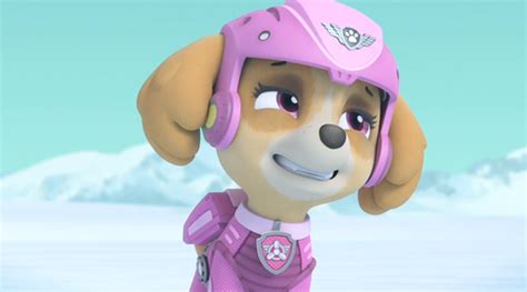 Paw Patrol Images Skye Hd Wallpaper And Background Photos 41148678