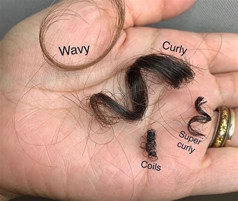 How To Know Your Hair Type Hair Texture And Hair Porosity Lbb In 2020 Hair Porosity