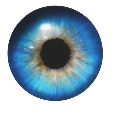 Eyes Png Transparent Background Free Download 42312 Freeiconspng