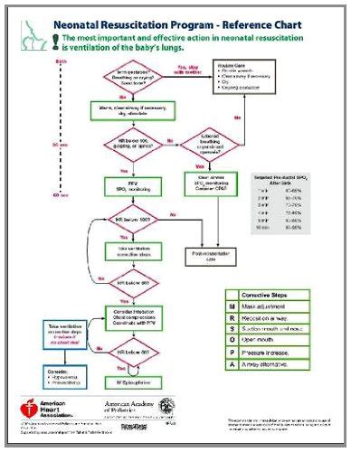 Neonatal Resuscitation Program Reference Chart By Aap And Elsbeth S