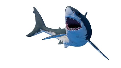Shark Png Images Scary Cartoon Real Sharks Free Transparent Png Logos