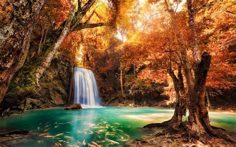 Download Wallpapers Thailand Autumn Forest Waterfall Thai Nature