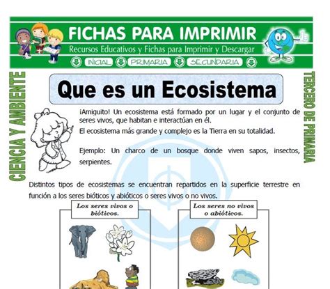 Ficha De Que Es Un Ecosistema Para Tercero De Primaria Tercero De