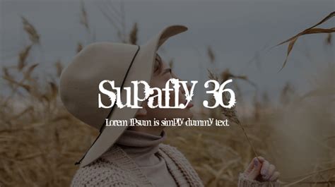 Supafly 36 Font Download Free For Desktop And Webfont