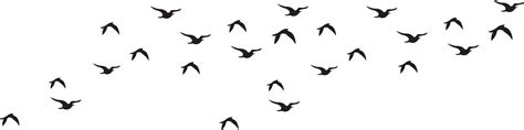 Bird Silhouette Transparent Background Flock Of Birds Silhouette Png