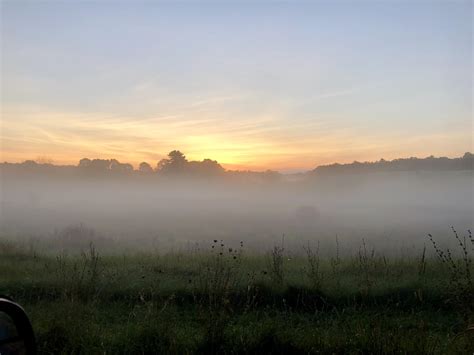 Morning Mist At Its Best Rpics