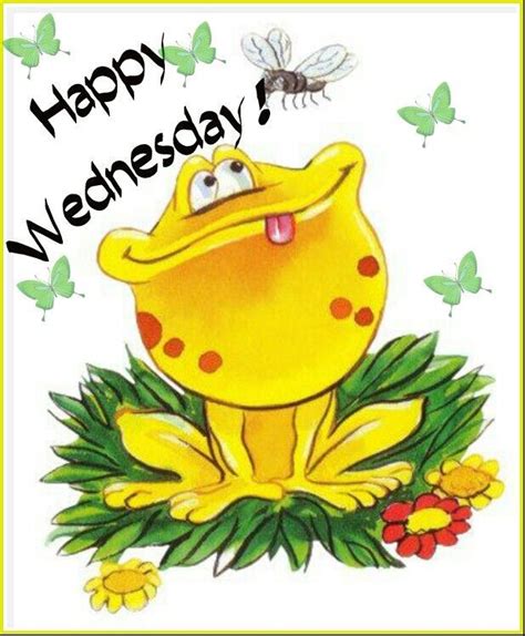 Happy Wednesday Pictures Photos And Images For Facebook