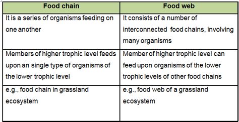 When does a food chain not represent the energy flow? Our Environment Std 10 Exemplar | FreeGuru Helpline